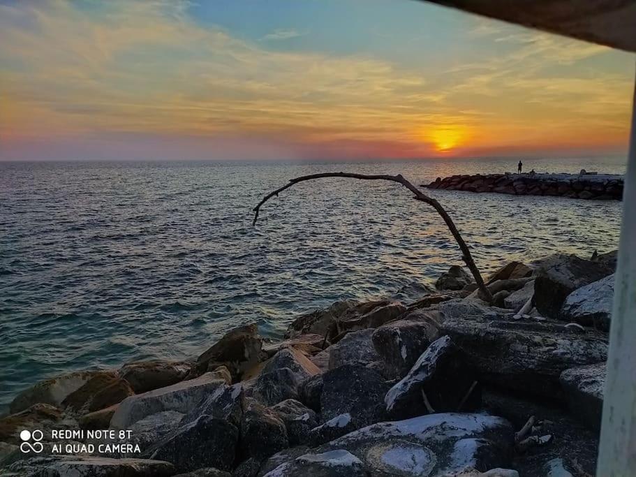 Casa Vacanze Marina Di Pisa Catola Dış mekan fotoğraf